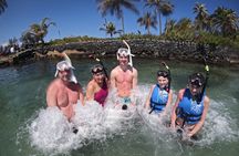 Puerto Rico Jet Snorkel with Turtles and Videos in San Juan