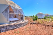 Marrakech & The Farm Experience!