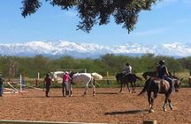 Marrakech & The Farm Experience!