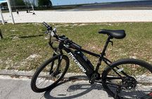 Experience Wild Florida Nature Up Close on Electric Bike (2 hrs.)