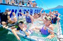 Port Stephens: Dolphin Discovery Cruise