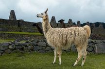 Private Inca Trail Hike to Machu Picchu 5 Days 4 Nights