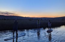 Sardinia: SUP tour at sunset