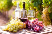 Wine tasting in the Vesuvius national park