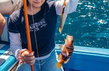 Full Day Fishing Experience in Capri from Sorrento 