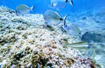 Chania Guided Snorkeling and Boat Excursion