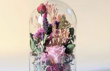 Paris 1e: Preserved Flower Bell Jar Workshop
