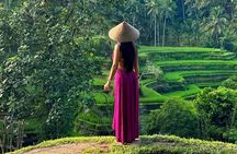 Ubud Guided Tour Monkey Forest, Waterfall, Temple & Rice Terrace.