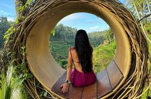 Ubud Guided Tour Monkey Forest, Waterfall, Temple & Rice Terrace.