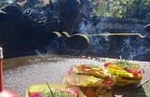Ubud Highlight Tour Monkey Forest, Waterfall, Temple & Tegalalang