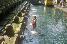 Ubud Highlight Tour Monkey Forest, Waterfall, Temple & Tegalalang