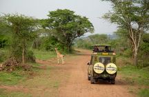 1 Day Akagera Game Drive Safari