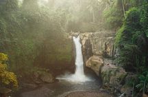 Ubud: Waterfalls, Rice Terraces & Cultural Delights