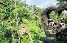 Ubud: Waterfalls, Rice Terraces & Cultural Delights