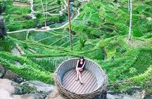 Ubud: Waterfalls, Rice Terraces & Cultural Delights