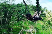 Ubud: Waterfalls, Rice Terraces & Cultural Delights