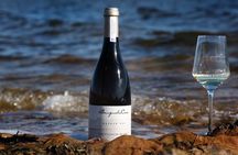 Private Family Vineyard Safari and Wine Tasting