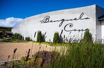 Private Family Vineyard Safari and Wine Tasting