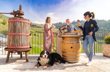 The Grand tour of Valpolicella: 2 Wineries, Lunch & Amarone focus