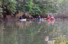 Kayak experience on Playa Blanca in Puerto Jiménez