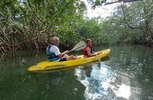 Kayak experience on Playa Blanca in Puerto Jiménez