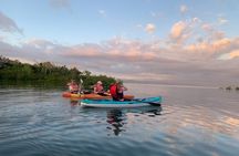 Kayak experience on Playa Blanca in Puerto Jiménez