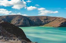 La Paz World class Snorkeling in Balandras Hidden Beaches 