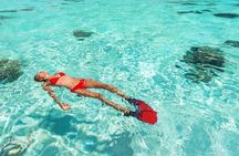 La Paz World class Snorkeling in Balandras Hidden Beaches 