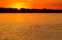 Private boat navigation through the Tigre Delta Buenos Aires