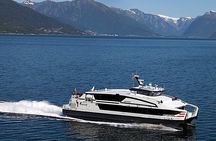 Bergen: Self-Guided Roundtrip (Sognefjord Cruise 5h & Flamsbana)