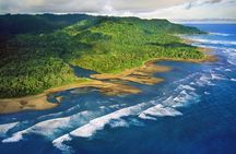 8 Hour Experience in Corcovado National Park
