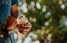 Vanilla, Cacao & Spice Tour in Manuel Antonio