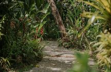 Vanilla, Cacao & Spice Tour in Manuel Antonio