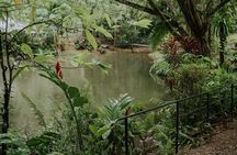 Villa Vanilla: The Original Rainforest Spice Tour