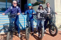 Coastal Adventure: Guided E-Bike Tour From Redondo-Santa Monica 