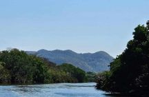 Scenic & Historical Nature Boat Safari Up the Negril River