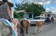 Gros Islet Village Horseback Riding run with Dore's riding Stable