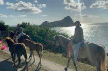 Gros Islet Village Horseback Riding run with Dore's riding Stable