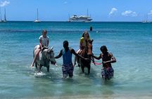 Gros Islet Village Horseback Riding run with Dore's riding Stable