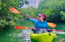  Key West Kayak Eco Tour | An Eco-Friendly Adventure Awaits!