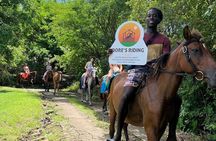 Beach Ride Horseback Experience with Dore's Riding Stable