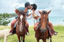 Beach Ride Horseback Experience with Dore's Riding Stable