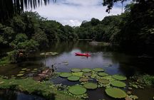Adventure in Los Chocuacos with all inclusive.