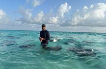 3 Hour Jet ski Adventure Swim with Rays and More