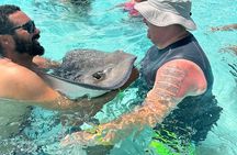 3 Hour Jet ski Adventure Swim with Rays and More