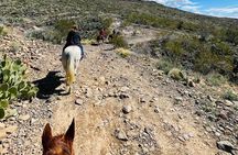 Southwest Horseback Riding with Spectacular Views