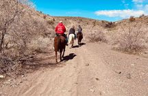 Southwest Horseback Riding with Spectacular Views