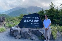 Kagoshima Highlights Private Tour, Sakurajima Volcano and more