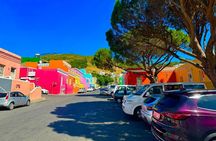 Private Tour: Cape Peninsula & Penguin Beach, Cape Point & more