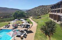 Amazing Safari at Game Reserve in Cape Town - see the Big5